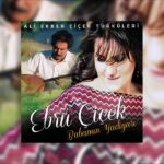 Ebru Çiçek - Derdim Çoktur