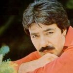 Ferdi Tayfur - Benim Gibi Sevenler